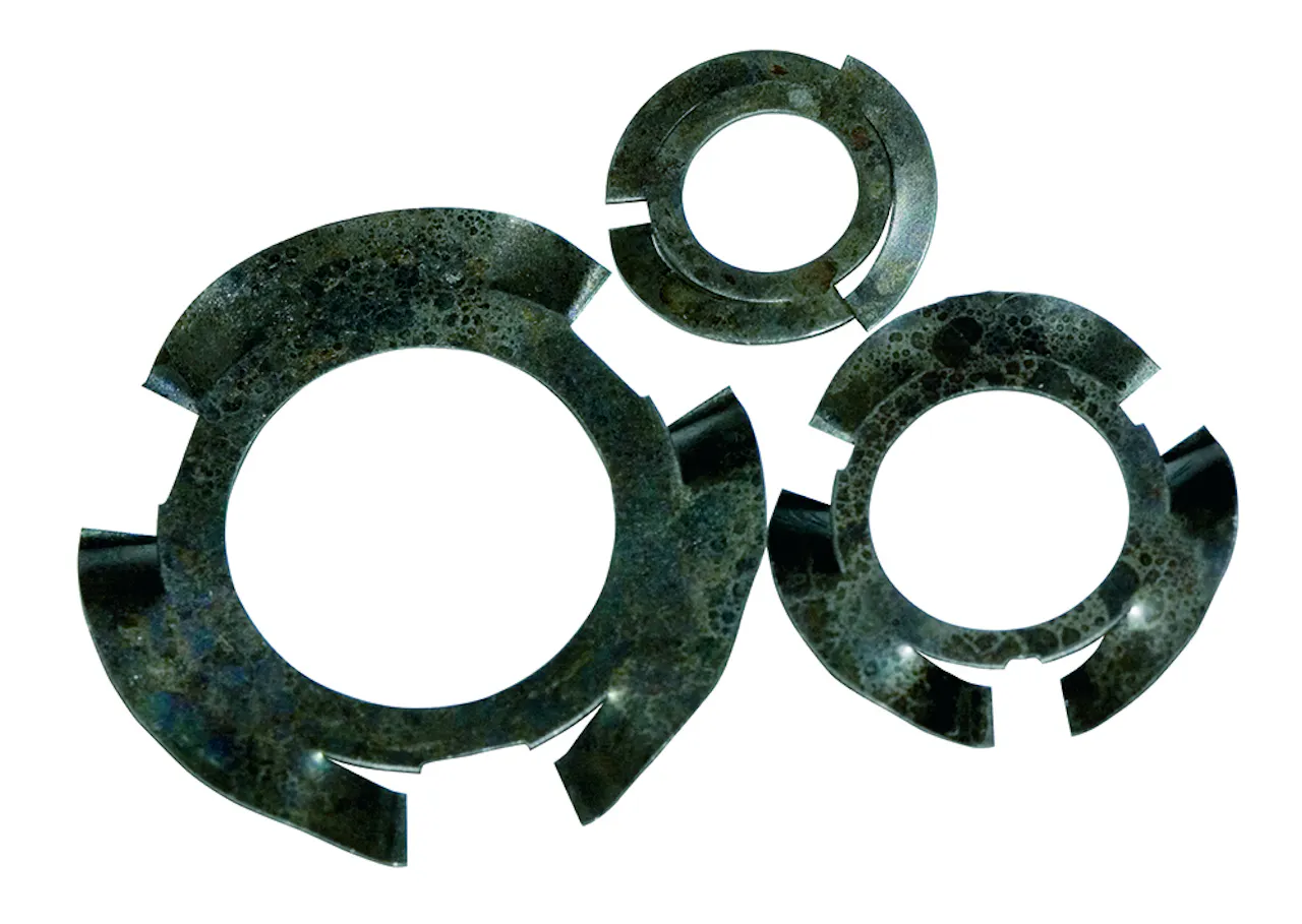 Serrated Disc Washers | Century Spring